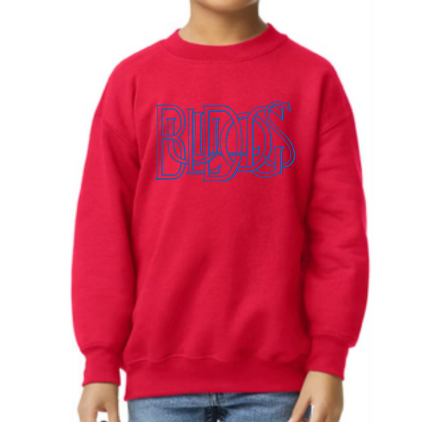 Kid's College Sweatshirts